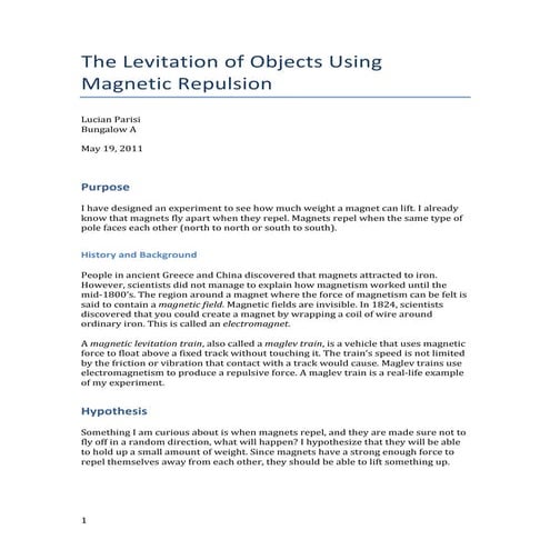 The Levitation of Objects Using Magnetic Repulsion