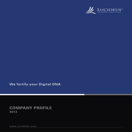 Lucideus Company Profile 2014