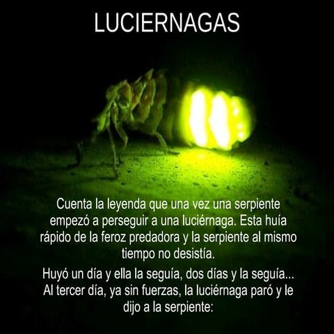 Luciérnaga