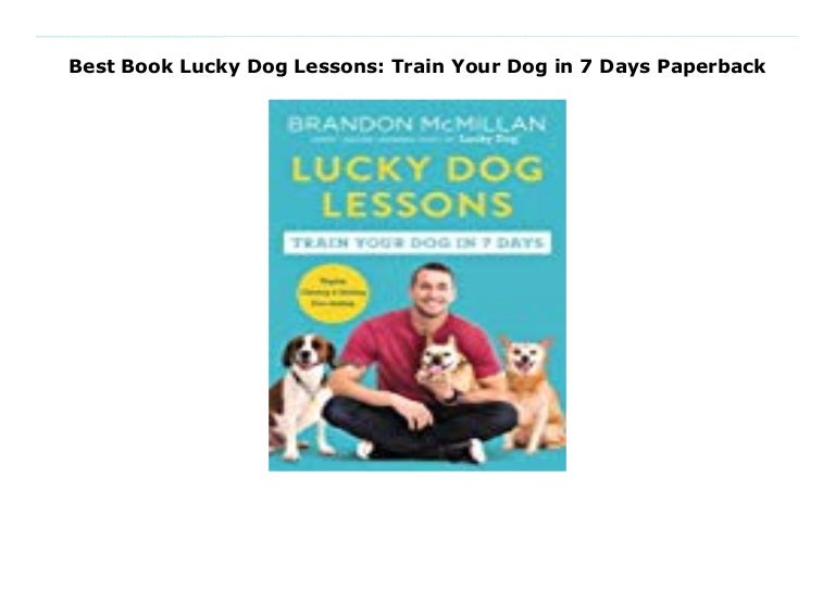 train your dog in 7 days