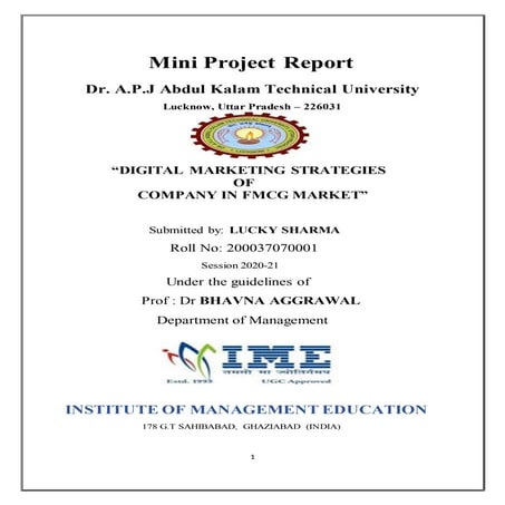 Digital marketing strategies of company in fmcg market. VIVA Report, Mini pro...