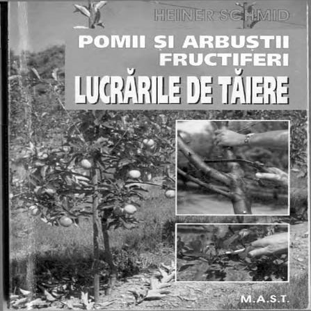 Lucrarile de taiere la pomii si arbusti fructiferi