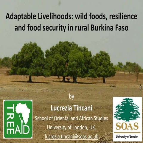 Lucrezia Tincani - Adaptable Livelihoods: wild foods, resilience and food sec...