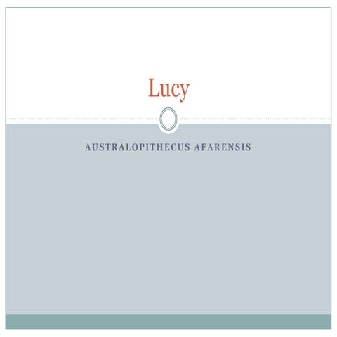 Lucy Presentation | PPTX