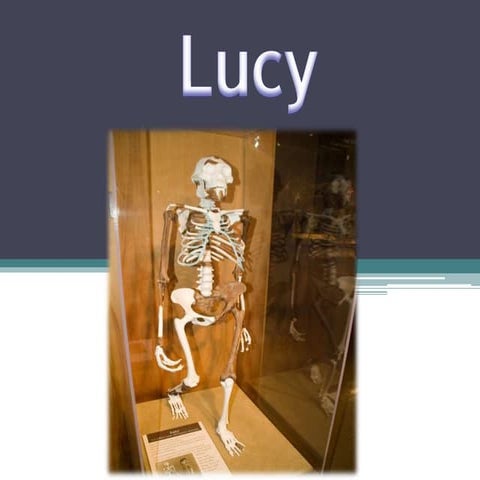 Lucy | PPTX