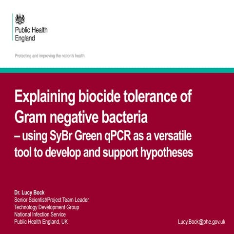 Explaining Biocide Tolerance of Gram Negative Bacteria 