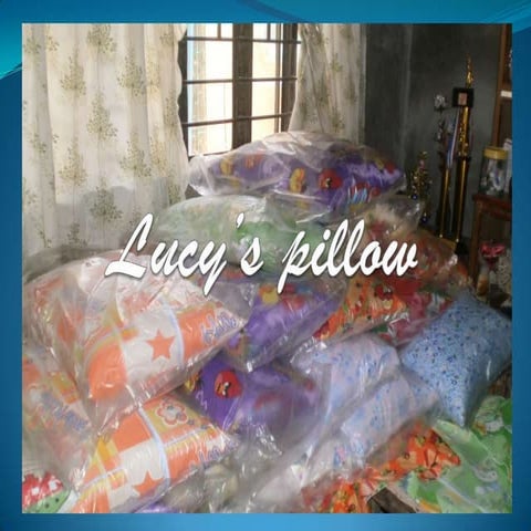 Lucy’s pillow