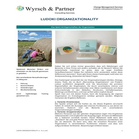 Ludoki organizationality factsheet