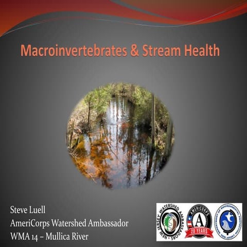 Macroinvertebrates & Stream Health | PPTX