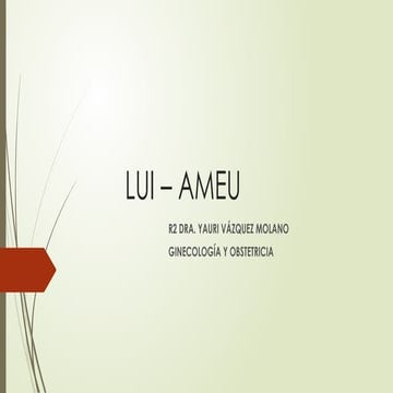 LUI – AMEU, técnica de cada una de las dos