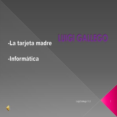 Luigi gallego tarjeta madre