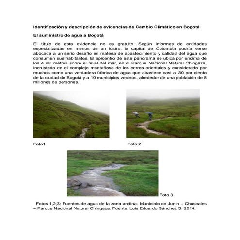 Luis eduardo sanchez sarrazola