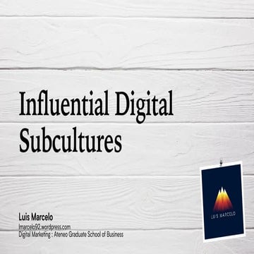 Influential Digital Subcultures