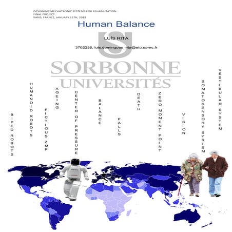 Human Balance - Anatomy & ZMP