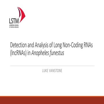 Detection and Analysis of Long Non-Coding RNAs (IncRNAs) in Anopheles funestus by Luke Vanstone