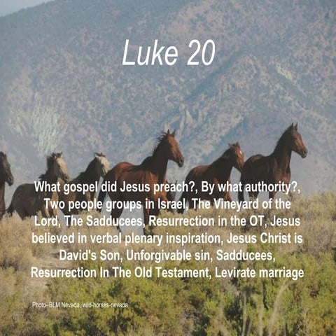 Luke 20, Jesus’ gospel and authority, amazed thaumazo, OT Resurrection, Viney...