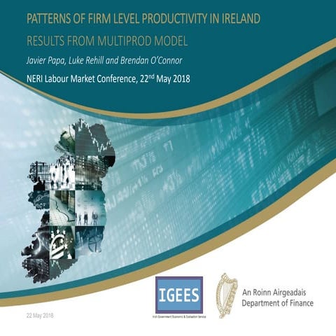 Luke Rehill, Patterns of firm-level productivity in Ireland