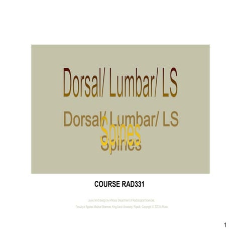 lumber spine radiography .ppt