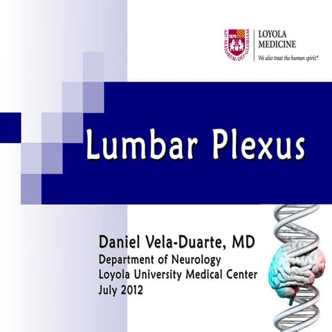 Lumbar plexus
