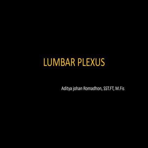 Lumbar plexus