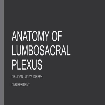 LUMBAR PLEXUS.pptx