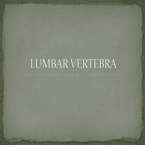 Lumbar vertebra