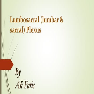 Lumbosacral (lumbar &amp; sacral) plexus
