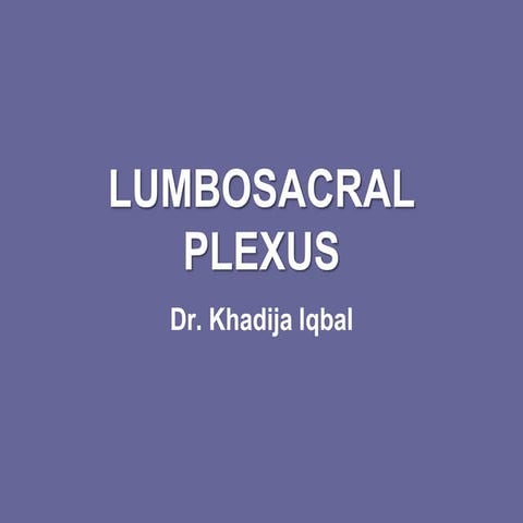 Lumbo sacral plexus