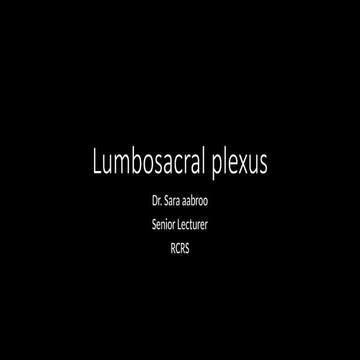 Lumbosacral plexus anatomy for students. pptx