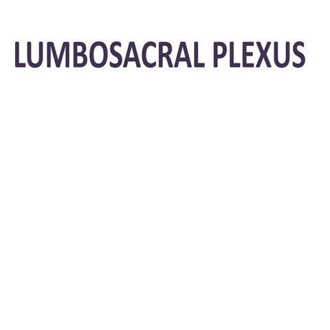 Lumbar plexus @Dr.Muskan Rastogi (PT) BPT,MPT(OBG)