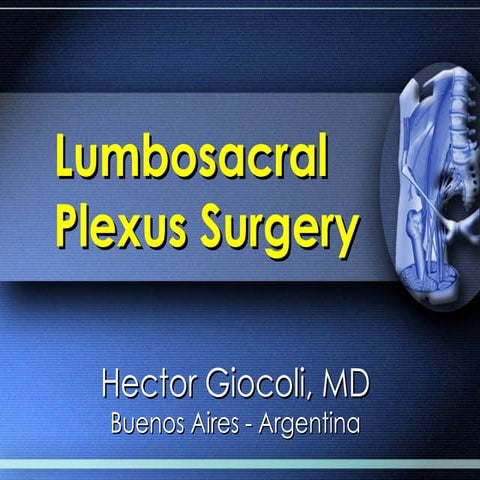 Lumbosacral plexus surgery