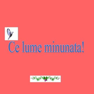 lumea cea minunata