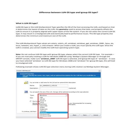 Difference between LUN and igroup os type