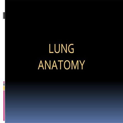 LUNG.pptxLUNG.pptxLUNG.pptxLUNG.pptxLUNG