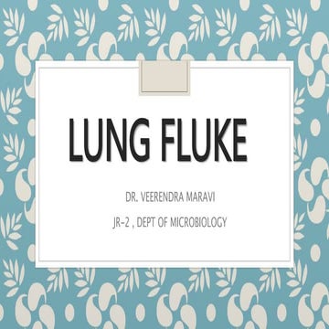 LUNG FLUKE Paragonimus westermani  lung fluke