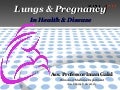 Lung & pregnancy