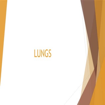 LUNGS, repiratory system, breathing and respiration