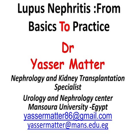 Lupus Nephritis :From Basics To Practice