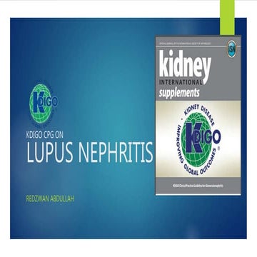 KDIGO Lupus Nephritis