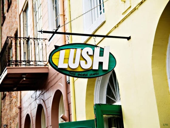 Lush Marketing Sales Expansion Project | PPT