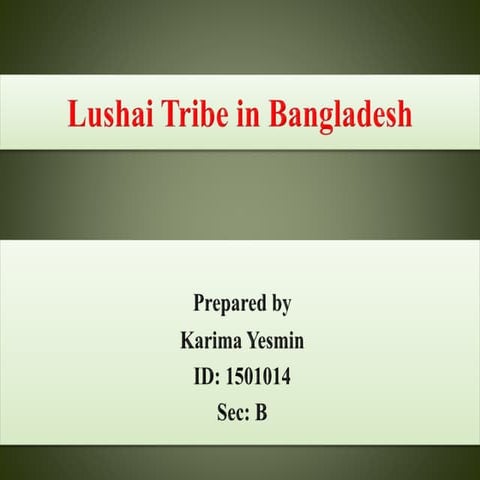 Lushai tribe | PPTX