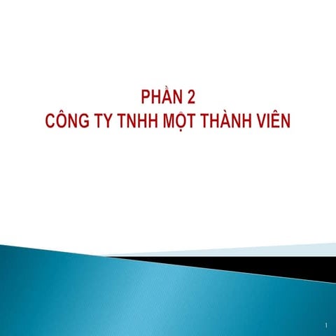 [Luật kt] cty tnhh một thành viên