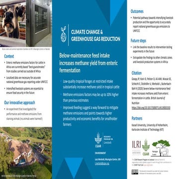 Below-maintenance feed intake increases methane yield from enteric fermentation