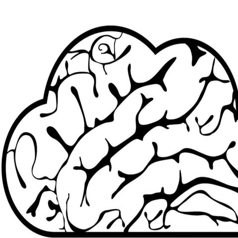 B'RAIN company presentation