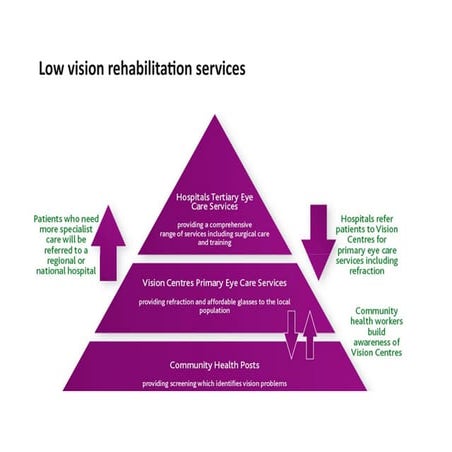 LV1.1 Handout Low vision Rehabilitation Services poster.pdf