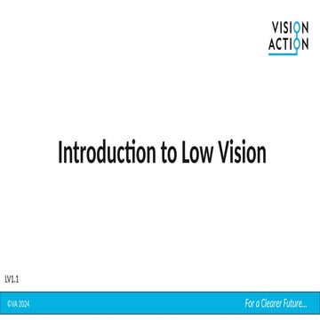 LV1.1 Handout Low vision Rehabilitation Services poster.pdf