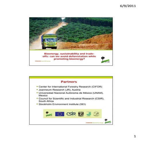 L verchot   introduction to ec bioenergy project