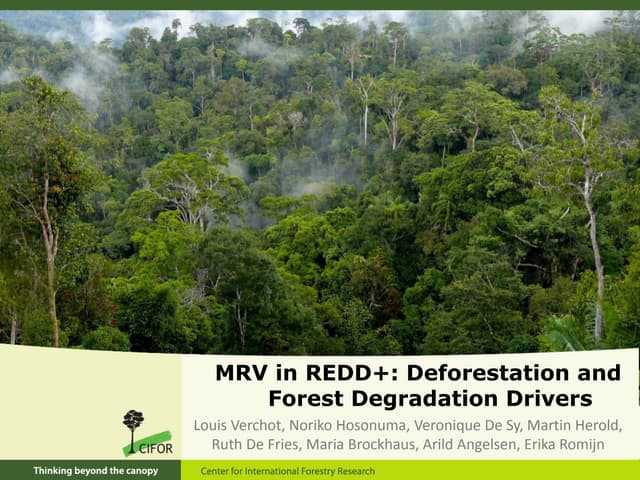 thumbnail of  MRV in REDD+: Deforestation and forest degradation drivers