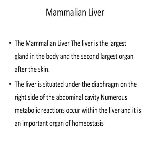 Lver metabolism.pptx