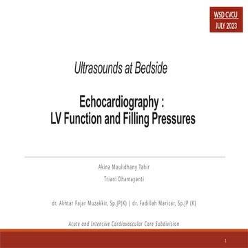 LV Function Echo jfnfnfnfnfjfjfjfnfn.pptx